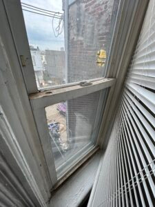 IMG 6548